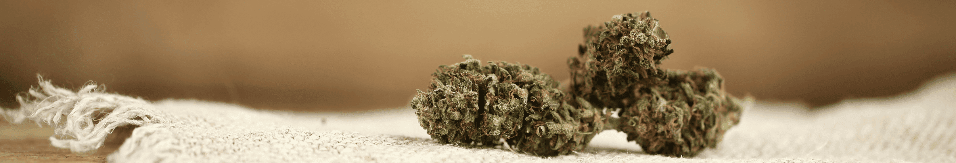 Zwei Cannabisblüten auf einem Stoffuntergrund.